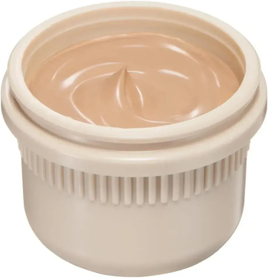 BA Day Plump Foundation