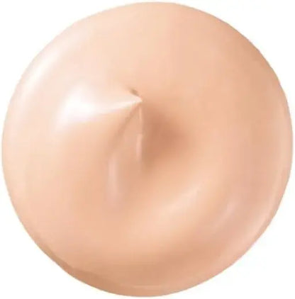 BA Day Plump Foundation