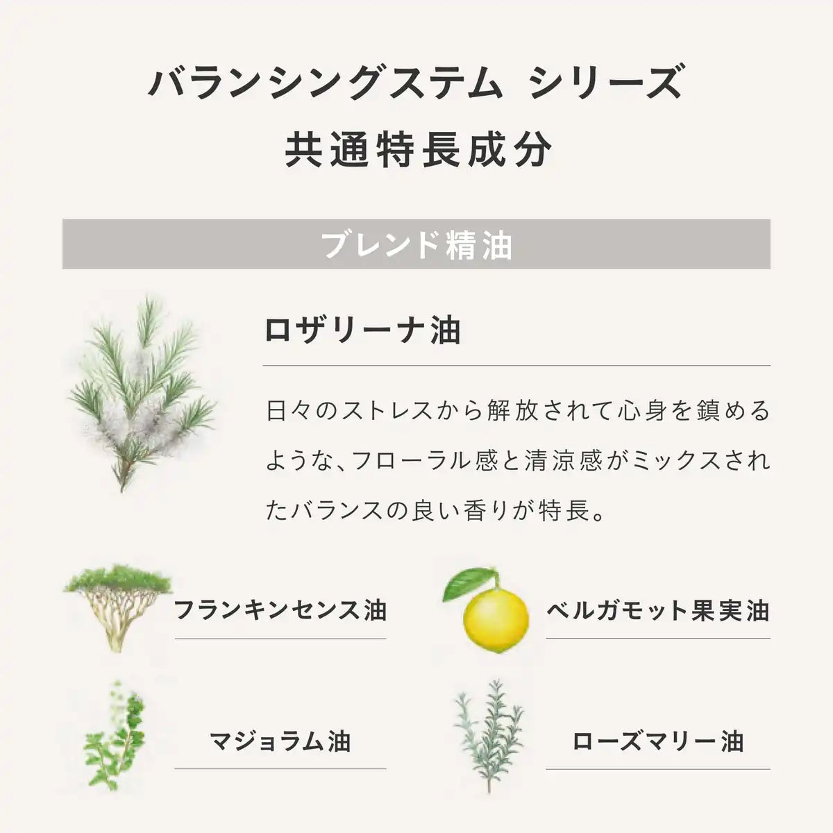 Three Balancing Stem Lotion Refill 115ml - Hydrating Skincare Solution