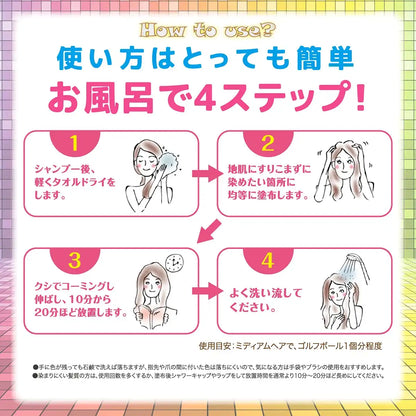 Chevu Ensemble Hair Color Paste Treatment Candy Milk Tea Silver 200G Japan