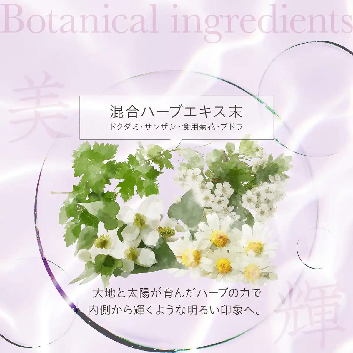 Axxzia Agtheory Marine Collagen Beauty Drink 10-Pack for Radiant Skin