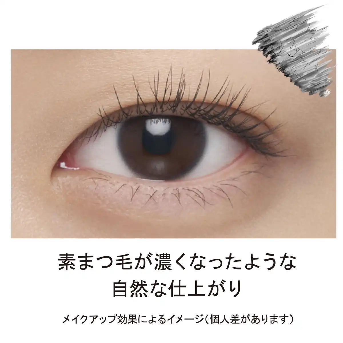 Ettusais Eye Edition Waterproof Mascara Base Liquid 6G - Japan