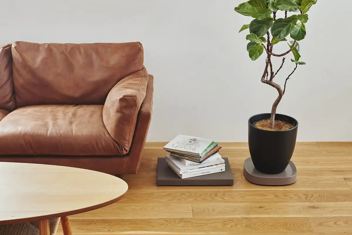 Tidy Japan Ot-668-200-4 Brown Platform 32X45Cm