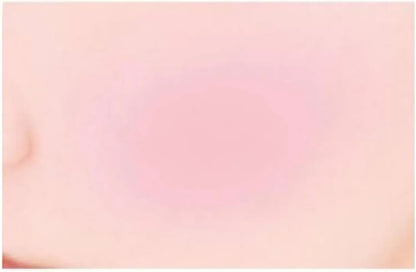 Canmake Powder Cheeks Blush