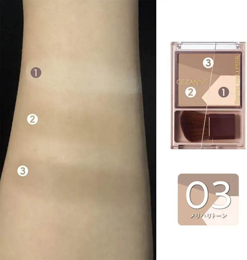 Cezanne Blend Color Shading Highlight Tone Eyeshadow Palette