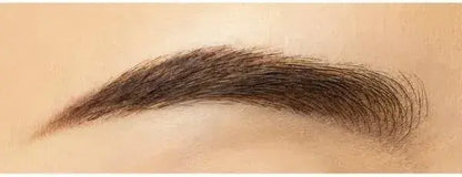 Chacott Brush Up Eyebrow Waterproof Brown 241 Soft Brush