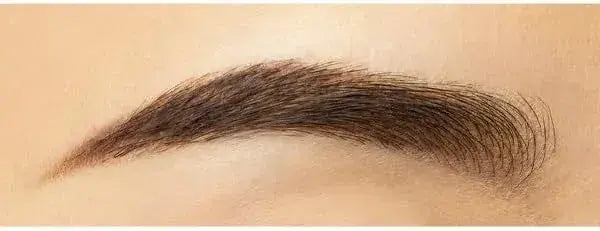 Chacott Brush Up Eyebrow Waterproof Brown 241 Soft Brush