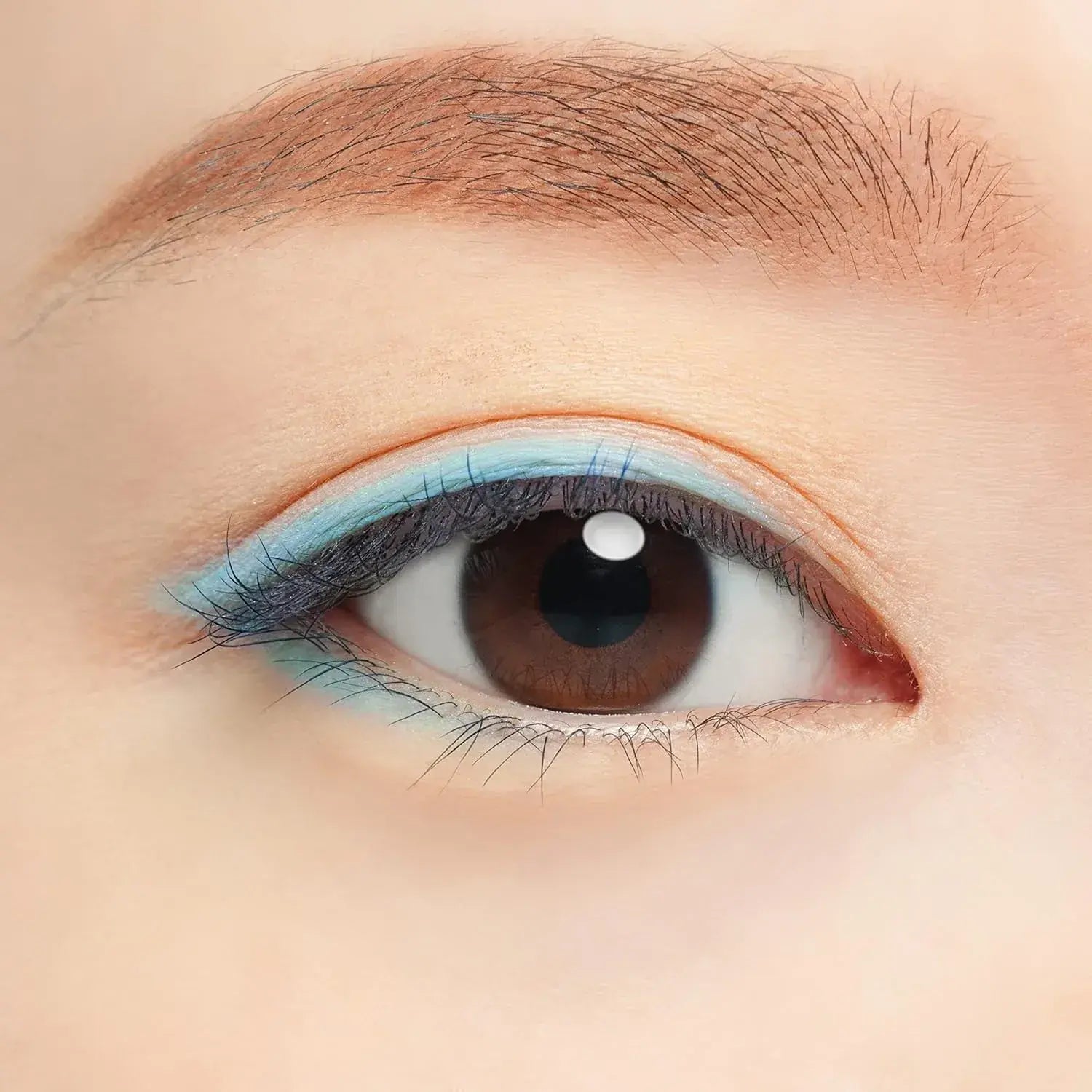 Chacott Matte Blue Multi Color Variations
