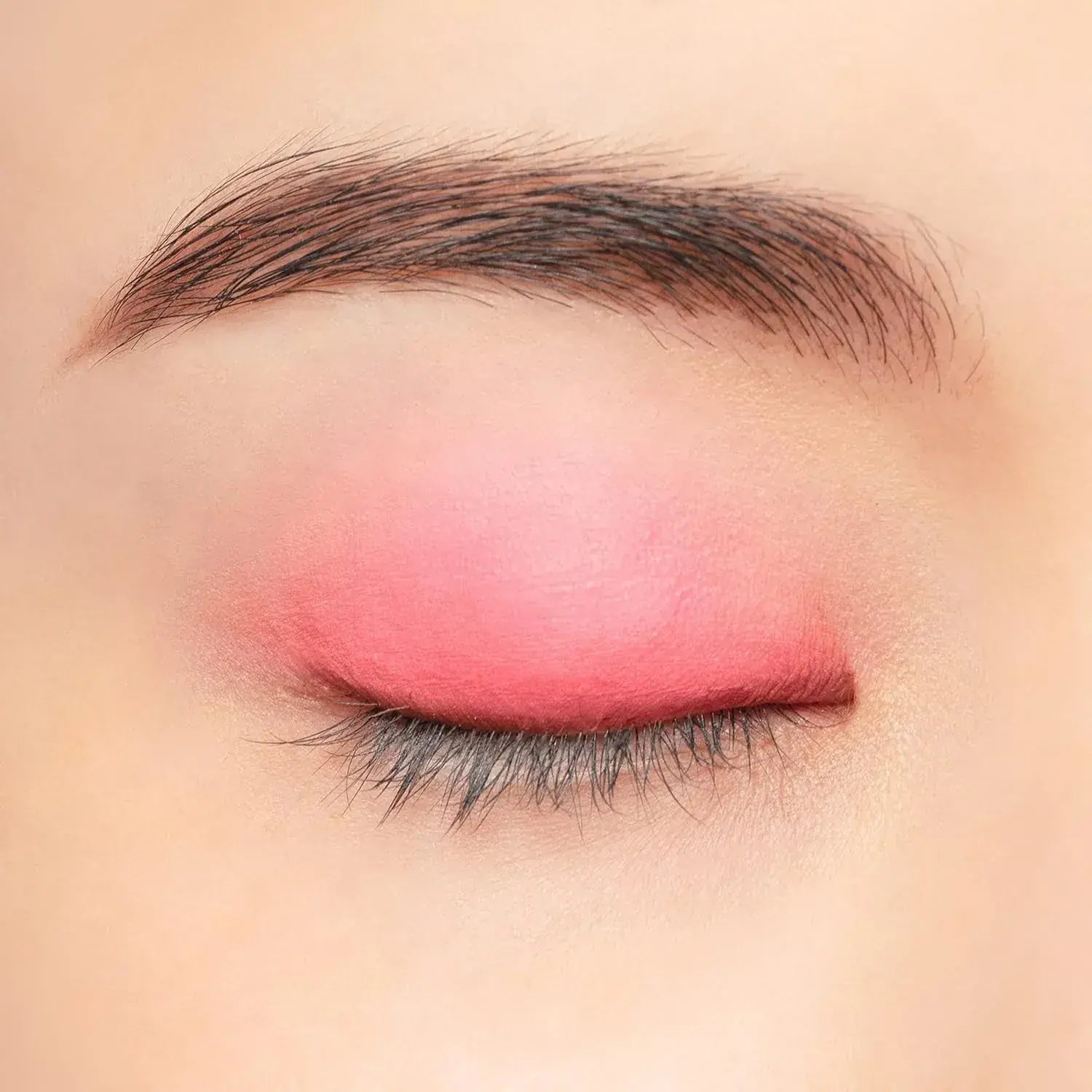 Chacott Matte Red Multi Color Variation Makeup Powder