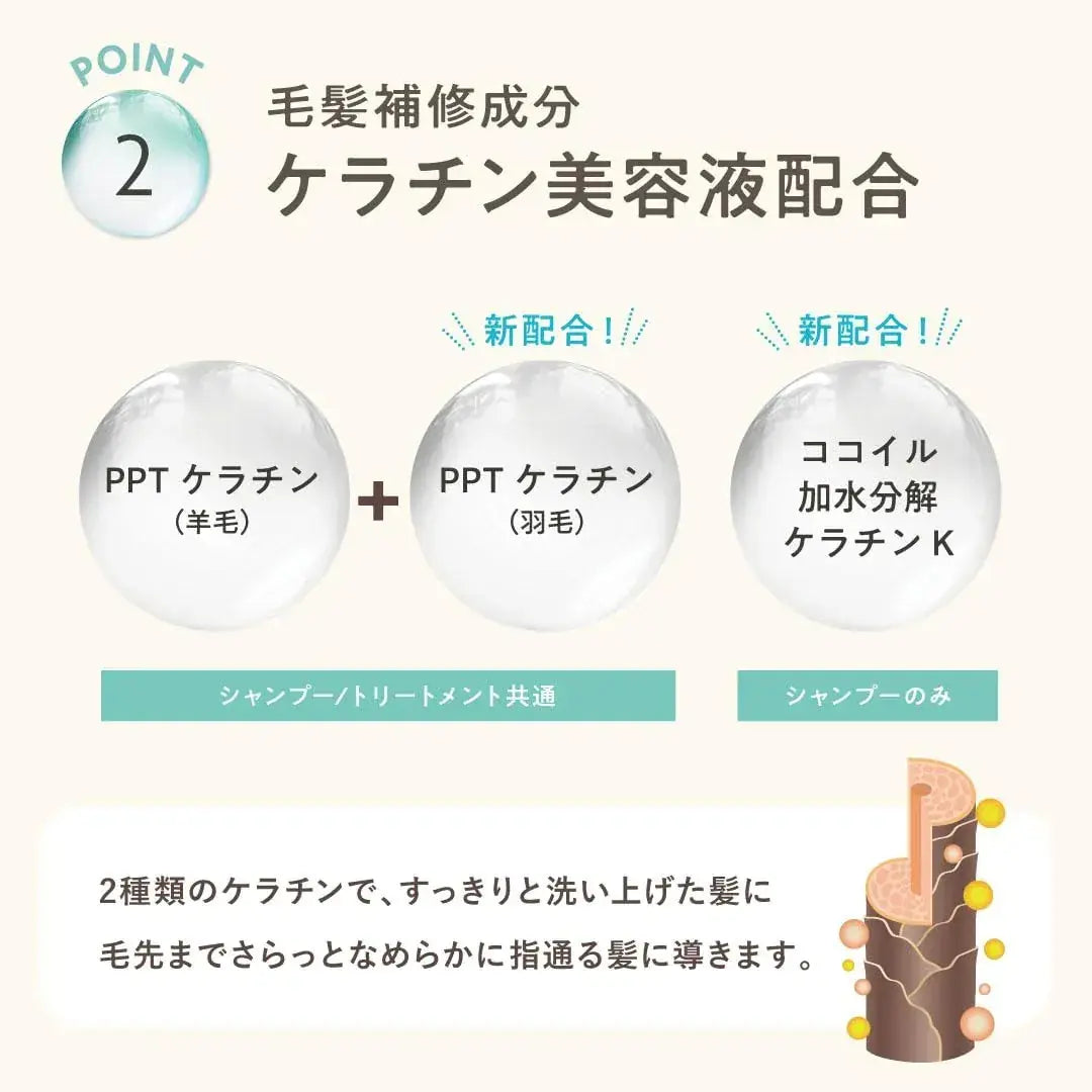 Clayge Shampoo and Treatment Set