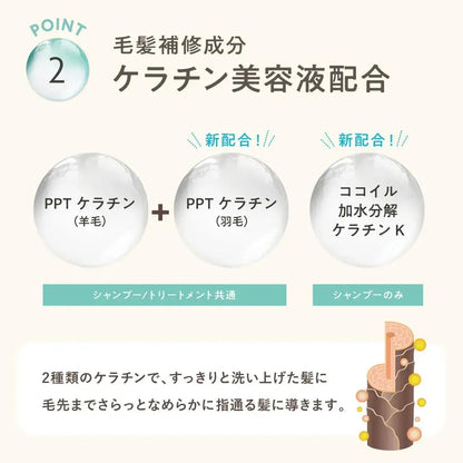 Clayge Shampoo and Treatment Set