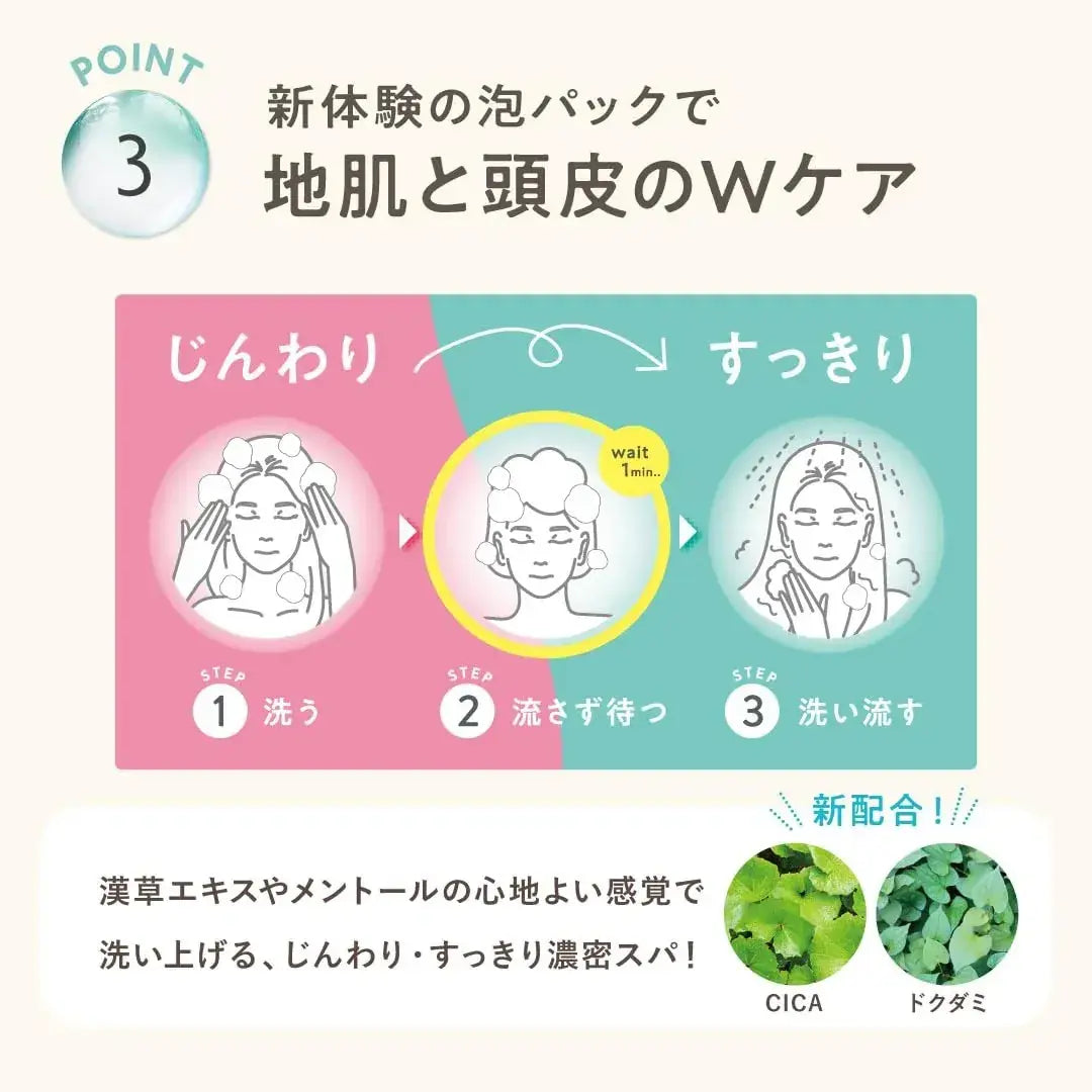 Clayge Shampoo and Treatment Set