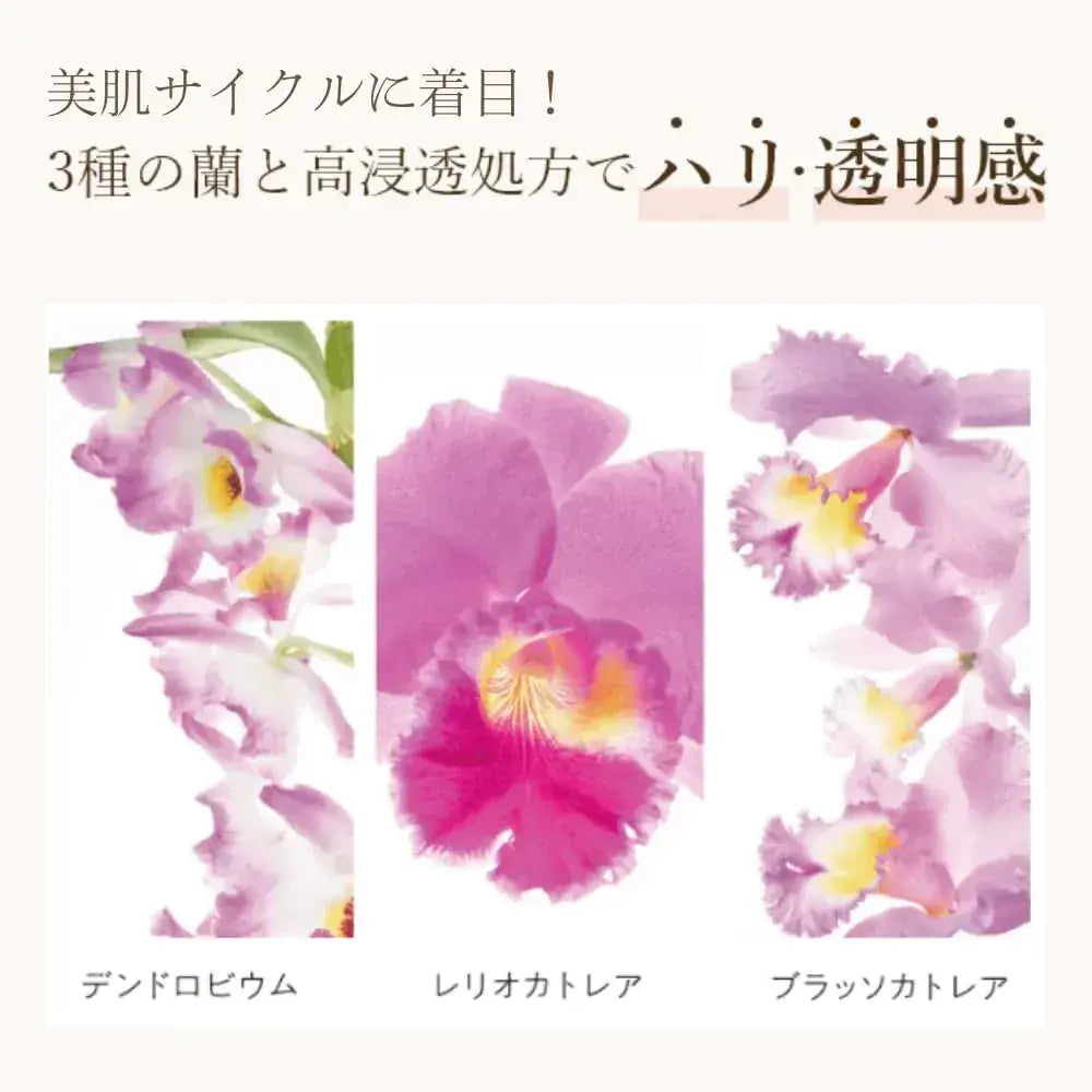 Coyori Saisei Moisturizing Lotion 100mL Natural Hydration