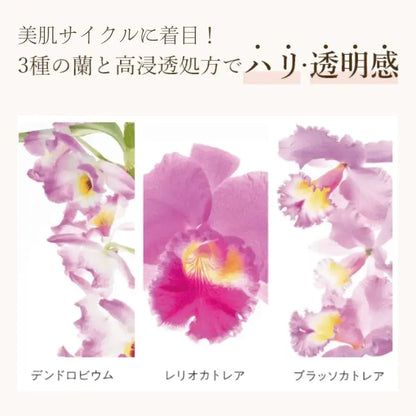 Coyori Saisei Moisturizing Lotion 100mL Natural Hydration