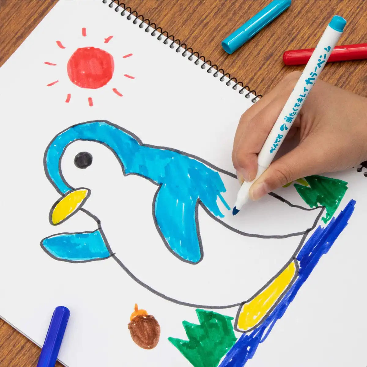 Pentel Water-Based Clean Color Pen Set 12 Washable Colors Japan