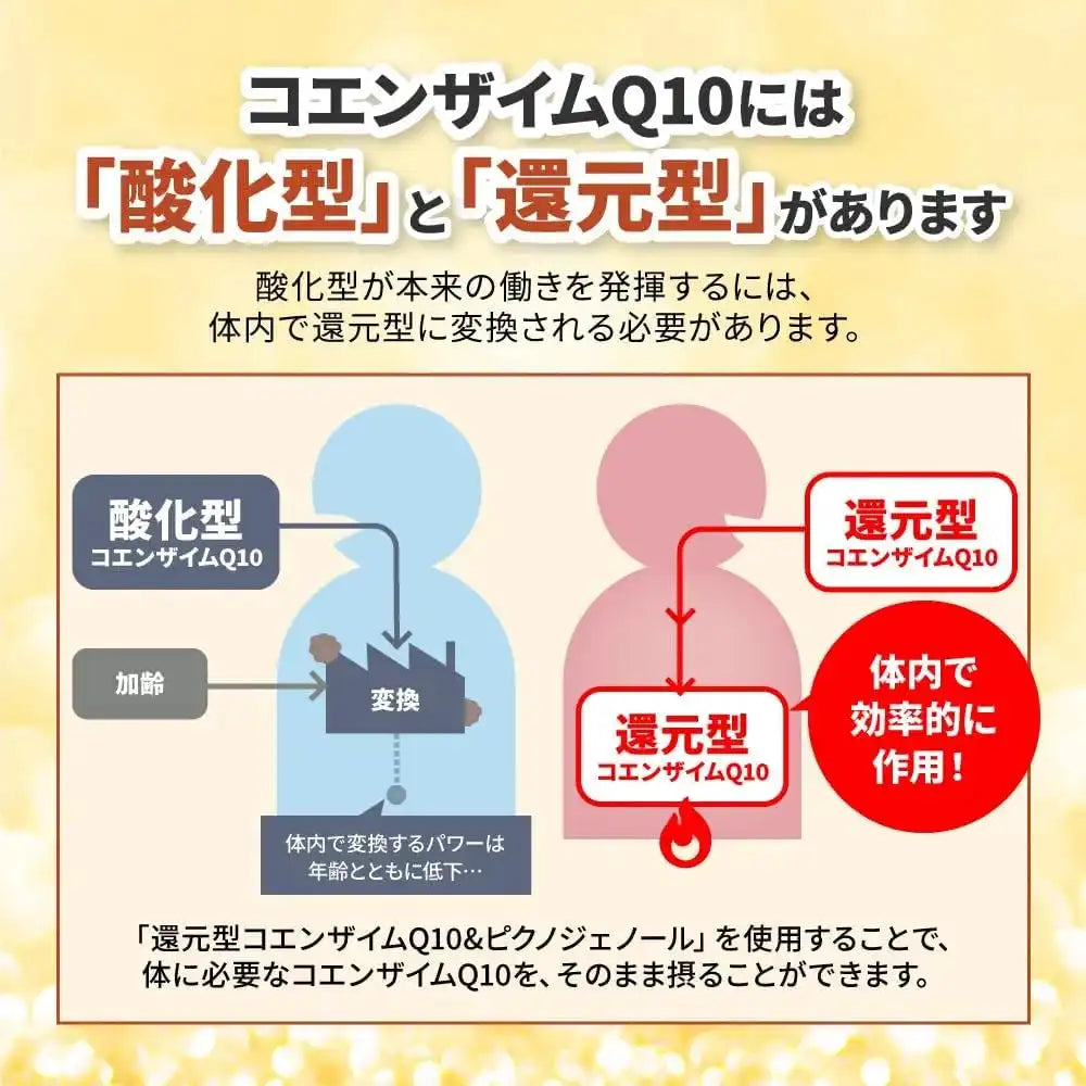 Kobayashi Pharmaceutical Coenzyme Q10 and Pinogenol Supplement