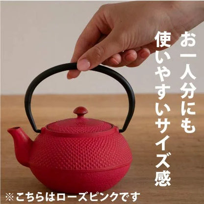Ren Of Japan Nanbu Tekki Iron Bottle Teapot Arale Round Shape W/Tea Strainer Enamel Finish Arare Small/No Ren Original Tea