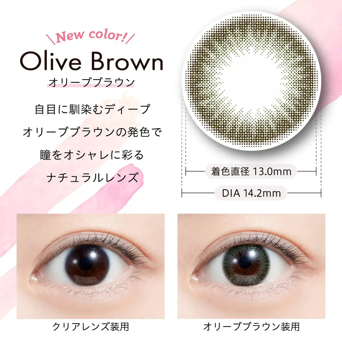 We Rejoice Color Contacts Feliamo Mai Shiraishi Olive Brown [-4.00] 10 Pack Japan