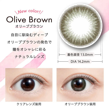 We Rejoice Color Contacts Feliamo Mai Shiraishi Olive Brown [-4.00] 10 Pack Japan