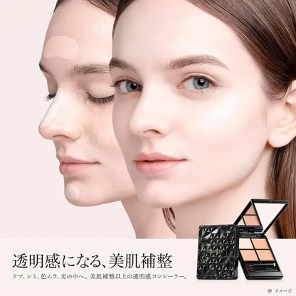Decorte Tone and Flat Perfecting Palette