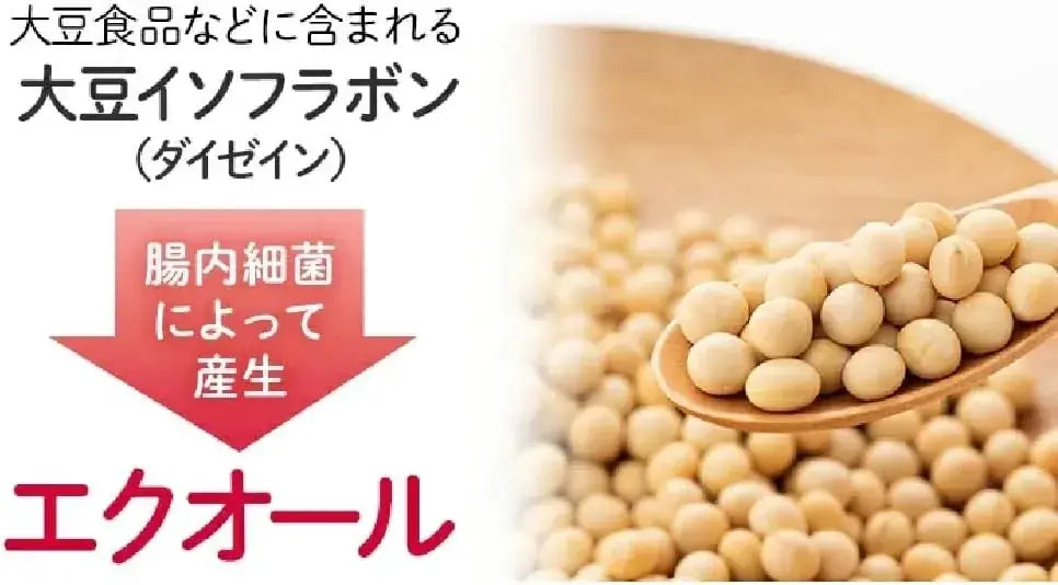 DHC Soy Isoflavone Equol Supplement Dietary Health Product