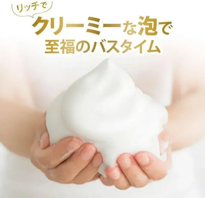 Dove Body Soap Premium Moisture Care Refill