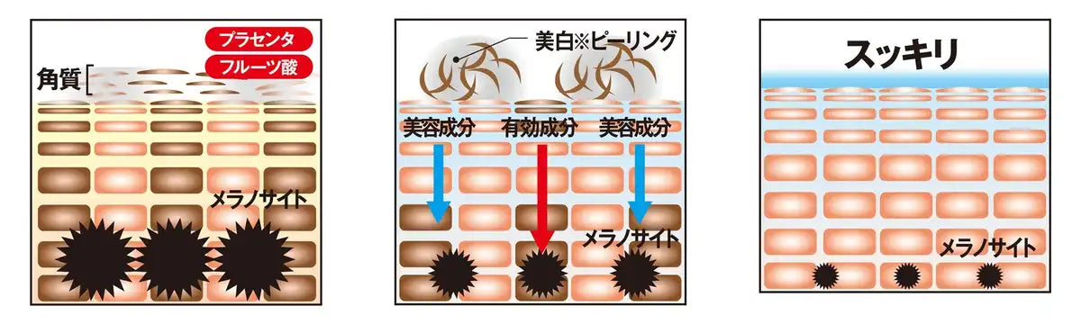 Minology Wakirese 20G - Japanese Medicinal Herbs