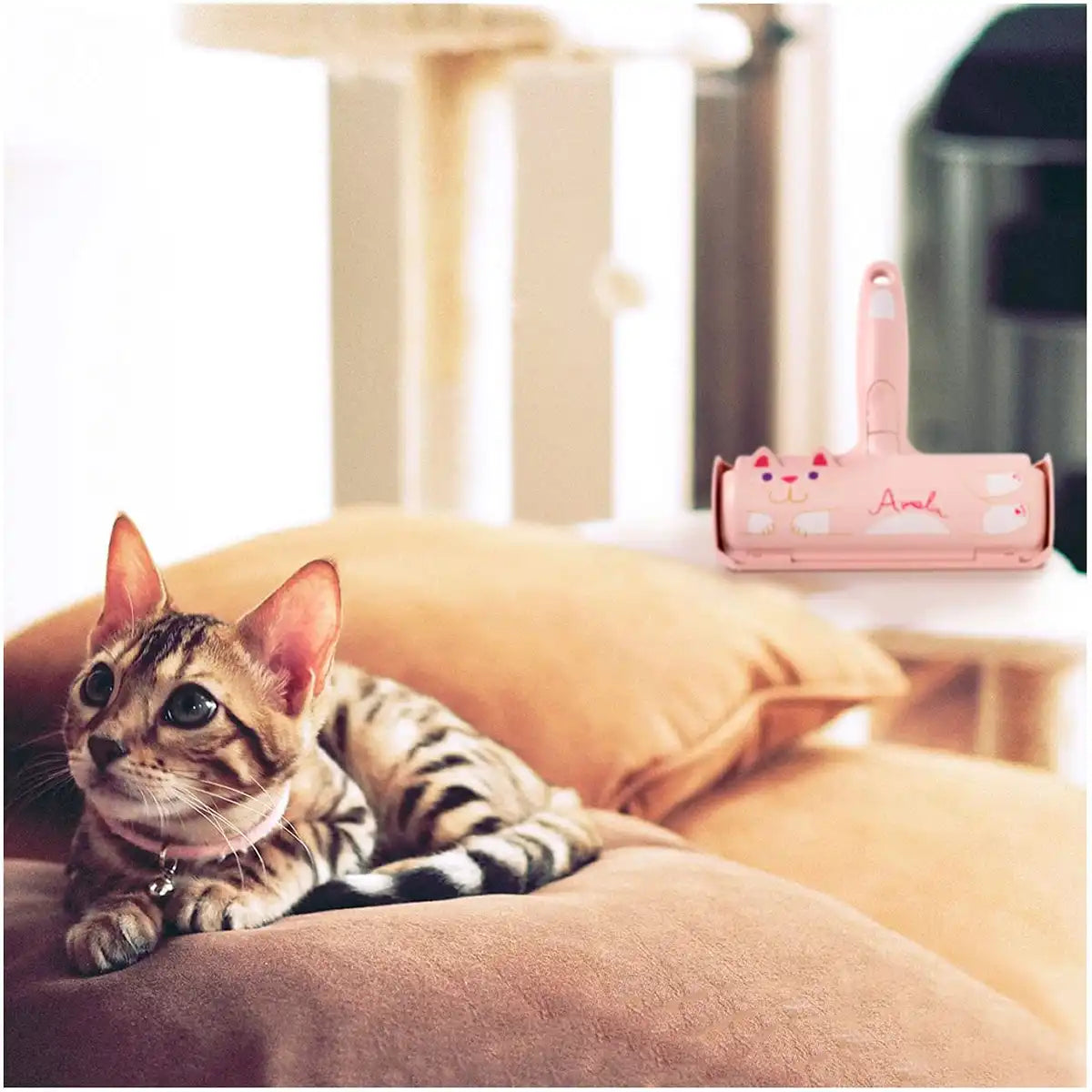 Pakupaku Roller Amelia | Japan | Dog & Cat Hair Removal | Carpet Cleaning | Pet Supplies