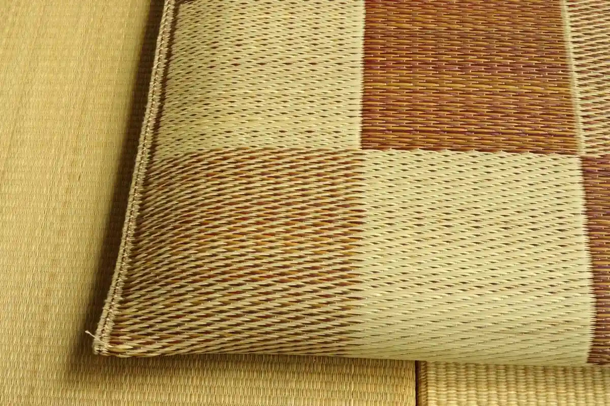 Ikehiko Rush Zabuton Block 2Pc Set 55X55Cm Brown Made In Japan #3128010 By Ikehiko Corp