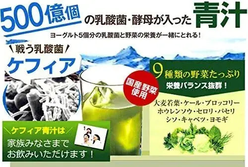 Everyday Kefir Green Juice 30 Packets Set of 4 Daily Drink