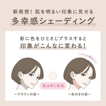 Excel Impressive Mood Cheek Shading Blush
