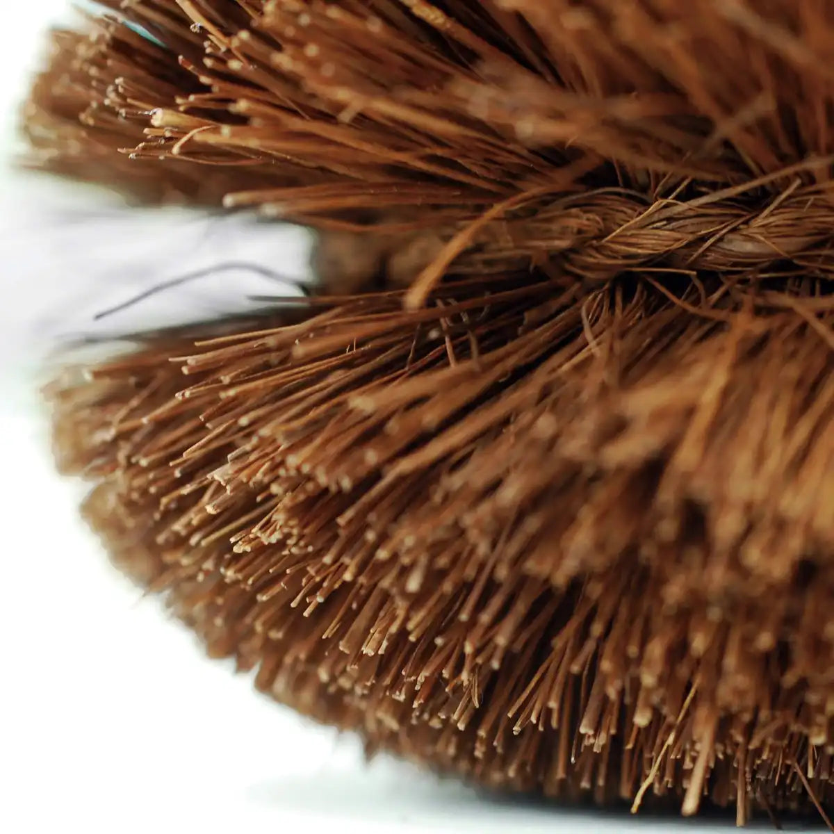 Kamenoko Tsubushi Nishio Shoten Palm Scrubber No.2 Japan