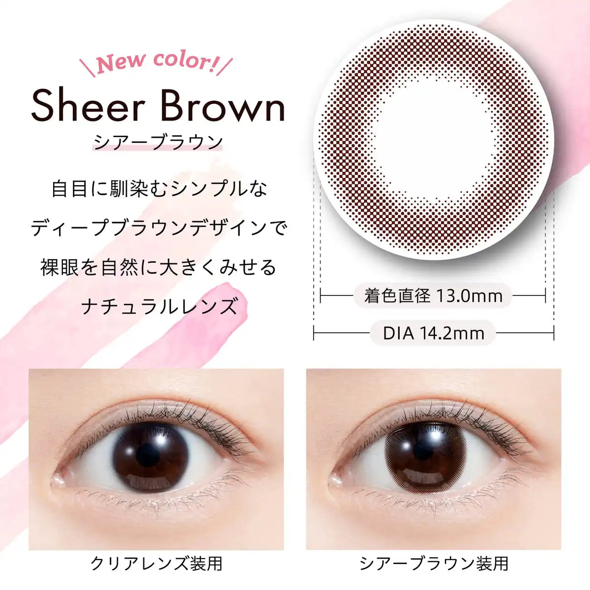 We Rejoice Feliamo Feriamo One Day Uv 10 Sheets Mai Shiraishi Image Model Sheer Brown Japan