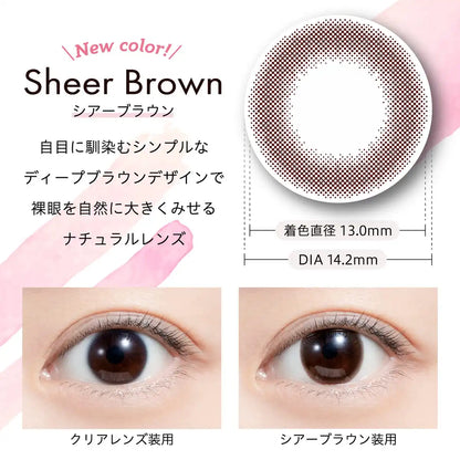 We Rejoice Feliamo Feriamo One Day Uv 10 Sheets Mai Shiraishi Image Model Sheer Brown Japan
