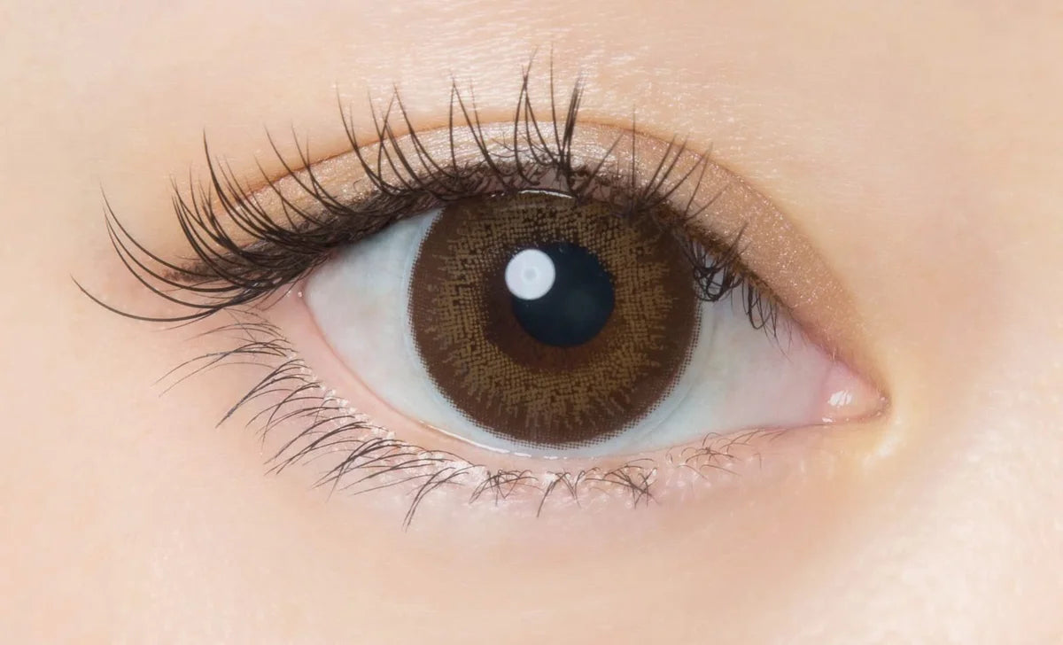 Flanmy 1Day Color Contacts [30 Per Box] Pwr -06.00 Dark Mocha - Made In Japan