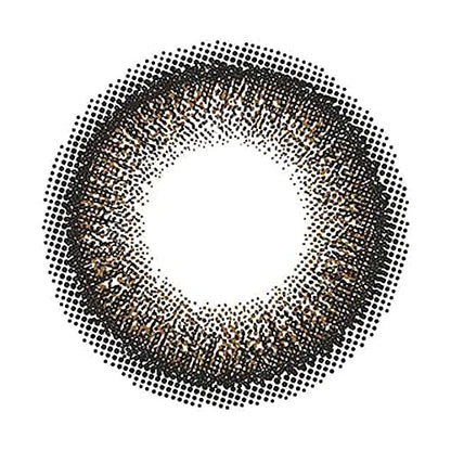 Flanmy One Day Cacao Waffle -10 Pcs/Box Pwr -04.25 Japan