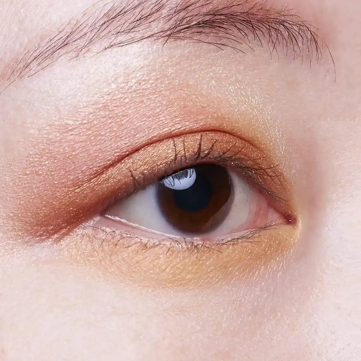 Excel Cs14 Cinnamon Suede Real Close Shadow Eye Palette