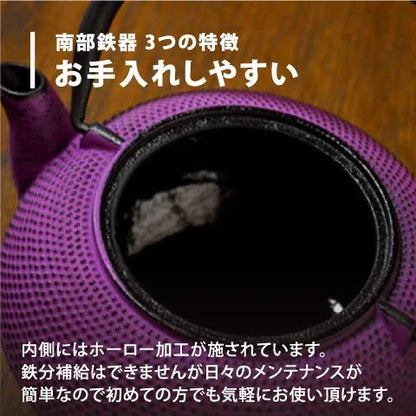 Ren Of Nambu Tekki Teapot 0.4L Japan - Arare Dome Purple - Enameled Tea Strainer Included