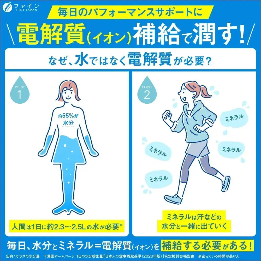 Fine Japan Fine Sports Ion Drink Mandarin Flavor Sugar Free