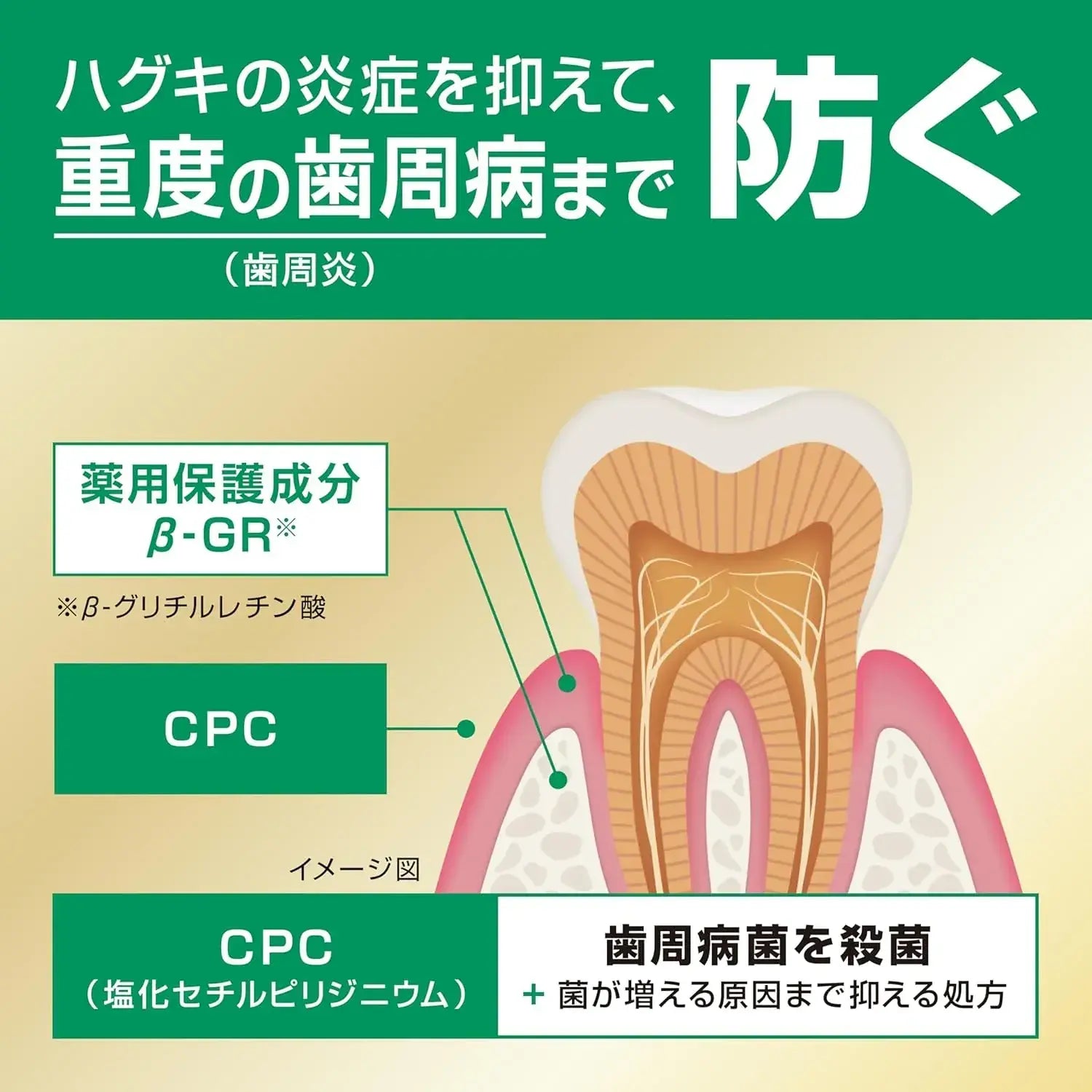 Gum Premium Toothpaste Periodontal Disease Prevention Mint
