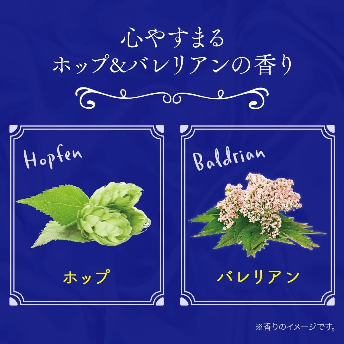 Kneipp Goutenacht Body Cream with Hops and Valerian Fragrance 7.8 fl oz Kneipp