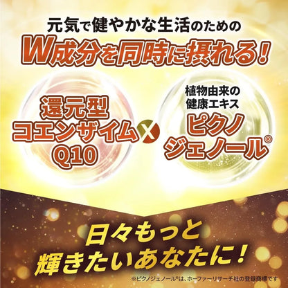 Kobayashi Pharmaceutical Coenzyme Q10 and Pinogenol Supplement