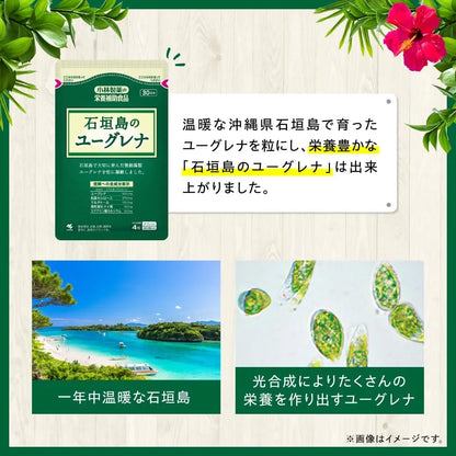 Kobayashi Pharmaceutical Euglena Supplement for Balanced Nutrition 120 Tablets