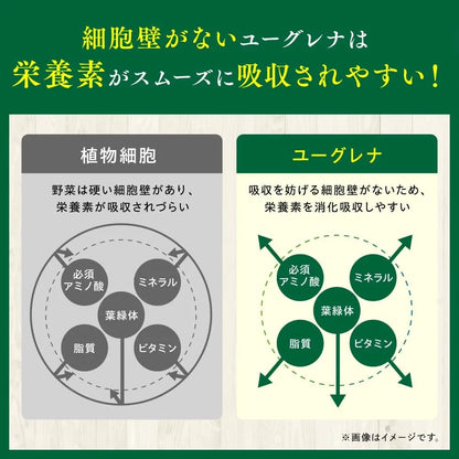 Kobayashi Pharmaceutical Euglena Supplement for Balanced Nutrition 120 Tablets