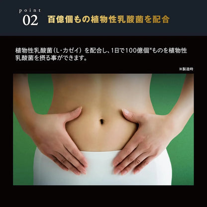 Kobayashi Pharmaceutical Vegetables and Enzyme EX Dietary Supplement