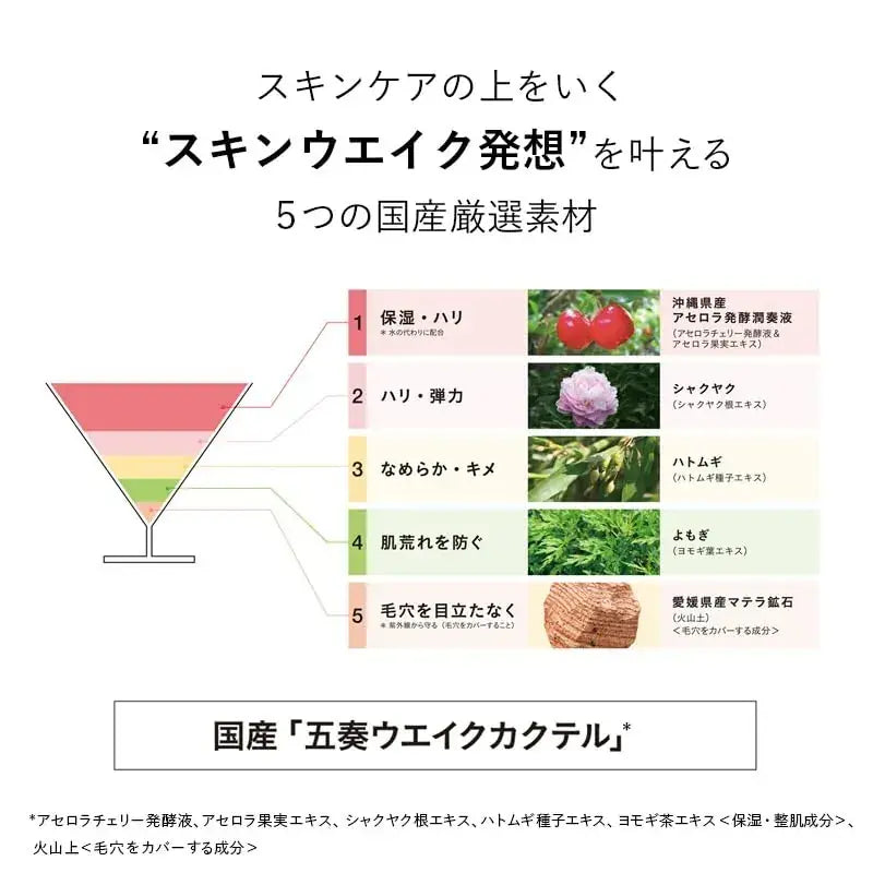 Koh Gen Do The Skin Wake Fermented Liquid Primer Smooth Color Fujii