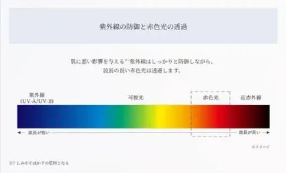 Kose Cosme Decorte UV Comfort Water Smooth SPF50 PA++++ 50ml