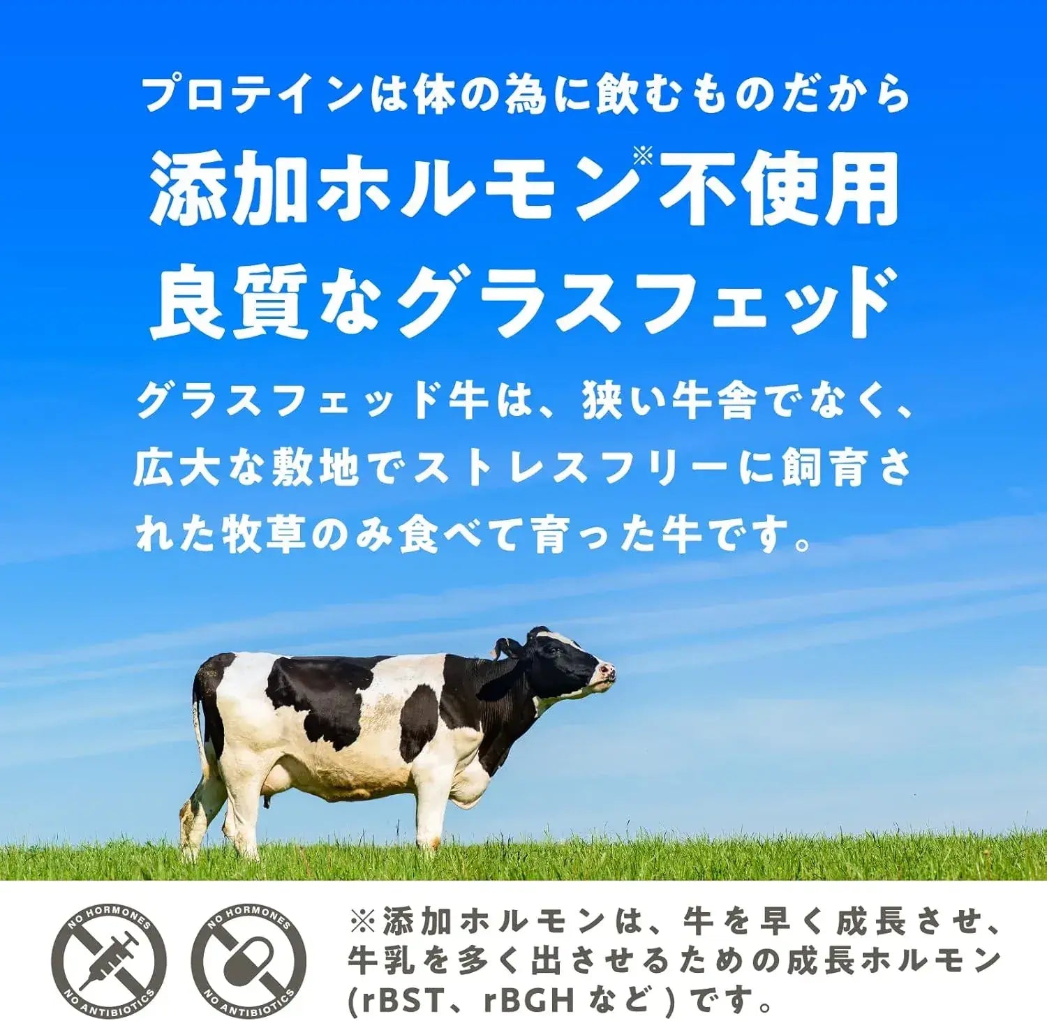 LohaStyle Grassfed Whey Protein Additive-Free Plain No Sweeteners