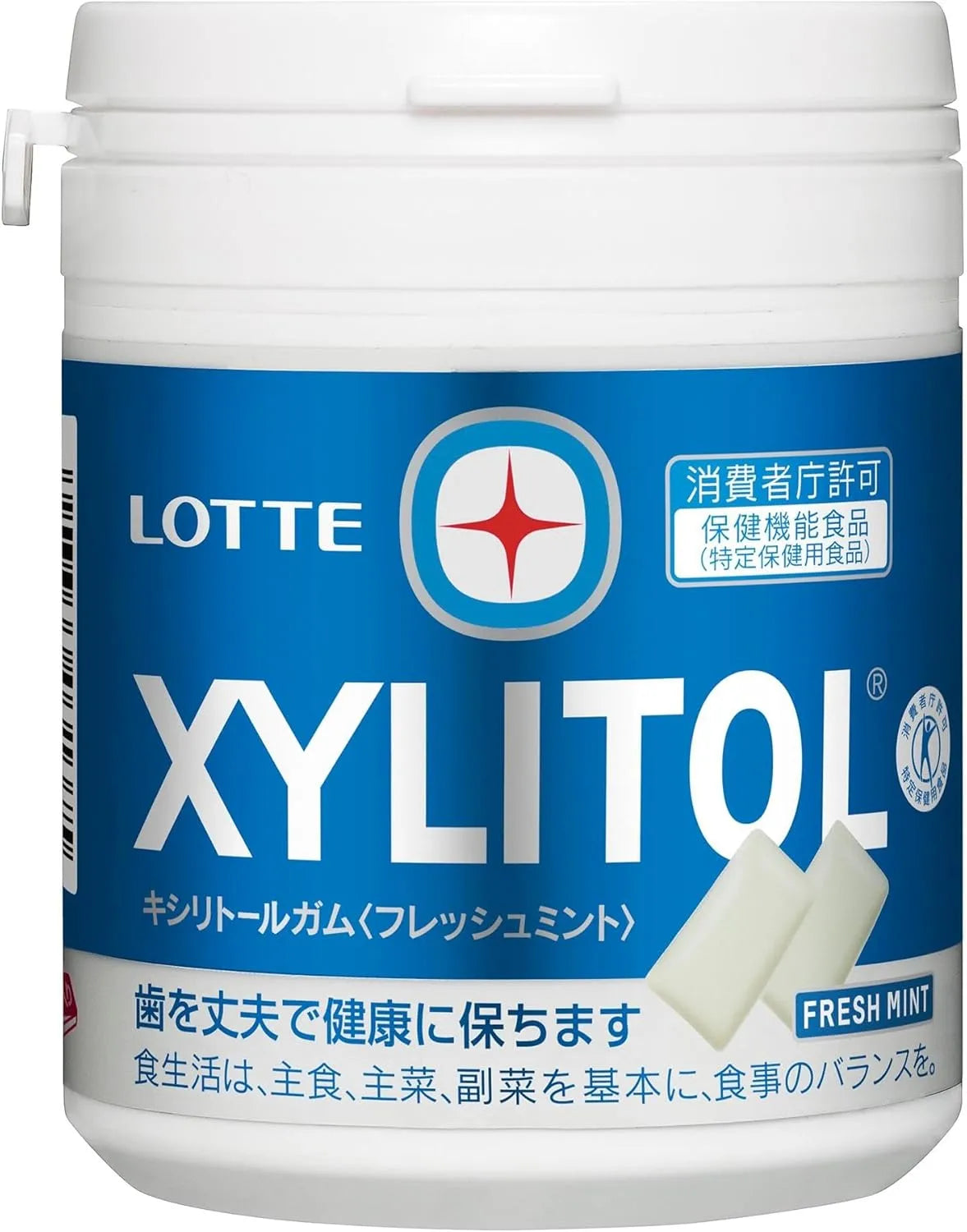 Lotte Xylitol Gum Fresh Mint Chewing Gum