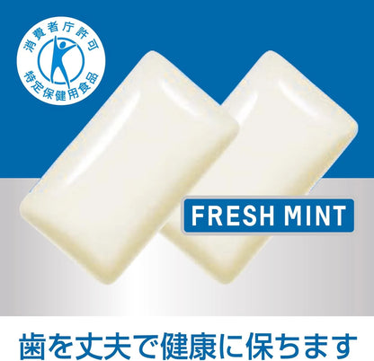 Lotte Xylitol Gum Fresh Mint Chewing Gum